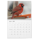 Calendrier Oiseaux jardins (Mar 2027)