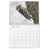 Calendrier Oiseaux jardins (Jan 2027)