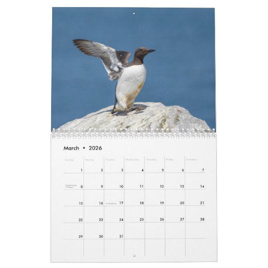 Calendrier Oiseaux marins à Machias Seal Island 2026 (Mar 2026)