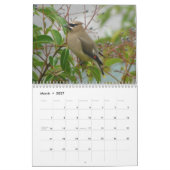 Calendrier Oiseaux nord-américains 2010 (Mar 2027)