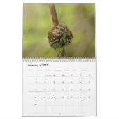 Calendrier Oiseaux nord-américains 2010 (Feb 2027)