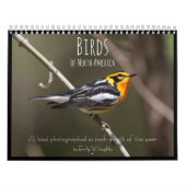 Calendrier Oiseaux nord-américains par Emily Willoughby (Protection)