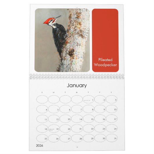 Calendrier Oiseaux peints en Amérique du Nord Jardin Birding (Jan 2026)