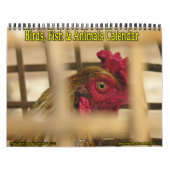 Calendrier Oiseaux, poissons et autres animaux exotiques (Protection)