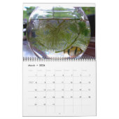 Calendrier Oiseaux, poissons et autres animaux exotiques (Mar 2026)