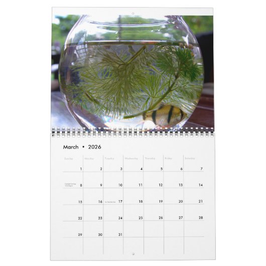 Calendrier Oiseaux, poissons et autres animaux exotiques (Mar 2026)