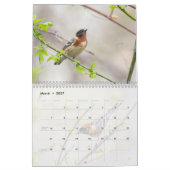 Calendrier Oiseaux sauvages (Mar 2027)