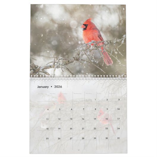 Calendrier Oiseaux sauvages (Jan 2026)