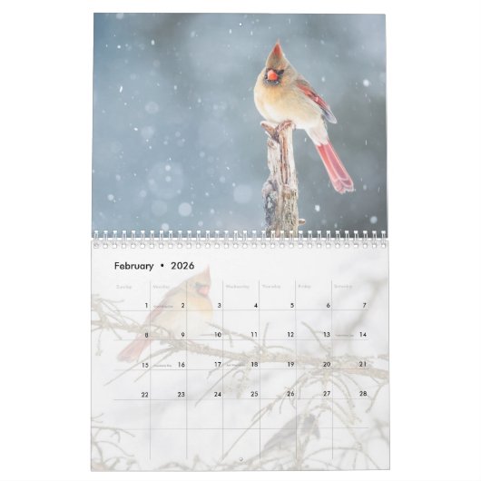 Calendrier Oiseaux sauvages (Feb 2026)