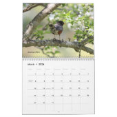 Calendrier Oiseaux sauvages (Mar 2026)