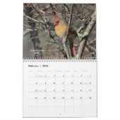 Calendrier Oiseaux sauvages (Feb 2026)