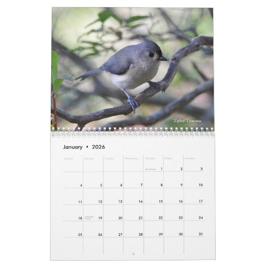 Calendrier Oiseaux sauvages (Jan 2026)