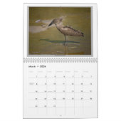 Calendrier Oiseaux sauvages de la Tanzanie (Mar 2026)