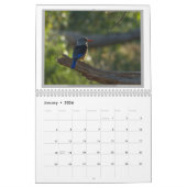 Calendrier Oiseaux sauvages de la Tanzanie (Jan 2026)