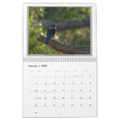 Calendrier Oiseaux sauvages de la Tanzanie (Jan 2027)