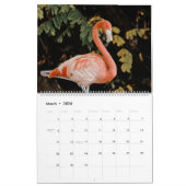 Calendrier Oiseaux tropicaux (Mar 2026)