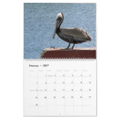 Calendrier Oiseaux tropicaux (Feb 2027)