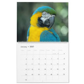 Calendrier Oiseaux tropicaux (Jan 2027)