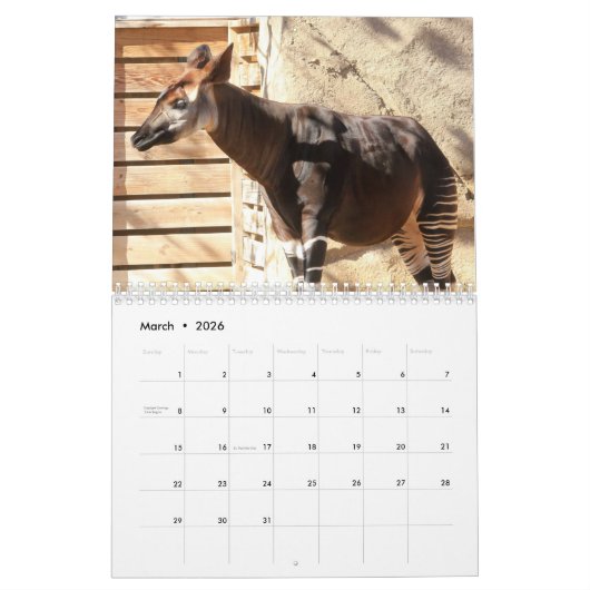 Calendrier Okapi (Mar 2026)