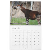 Calendrier Okapi (Jan 2026)
