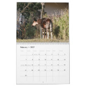 Calendrier Okapi (Feb 2027)