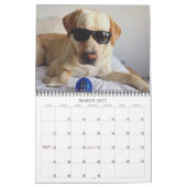 Calendrier Oli le Labrador doré en 2020 (Mar 2027)
