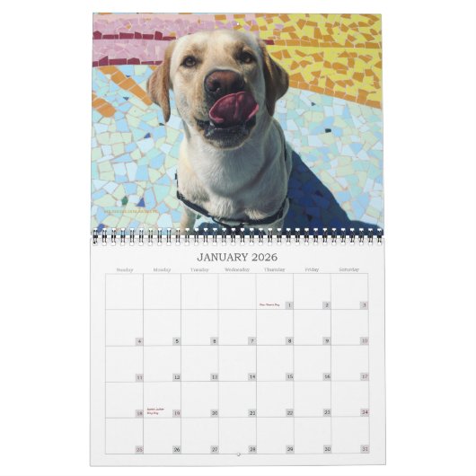 Calendrier Oli le Labrador doré en 2020 (Jan 2026)