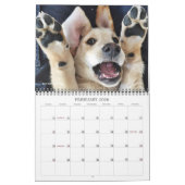 Calendrier Oli le Labrador doré en 2020 (Feb 2026)