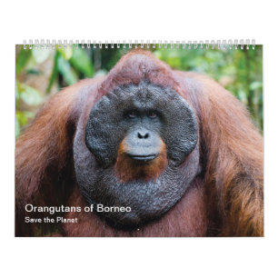 Calendrier orangoutais