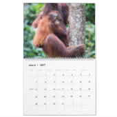 Calendrier orangoutais (Mar 2027)