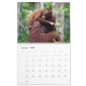 Calendrier orangoutais (Jan 2027)