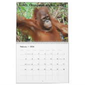 Calendrier Orangs-outans dans la forêt tropicale (Feb 2026)