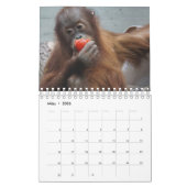 Calendrier orangutan (Mar 2026)