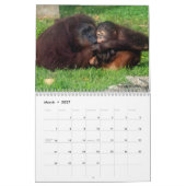 Calendrier Orangutan Redd 2023 (Mar 2027)
