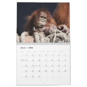 Calendrier Orangutans Extraordinaires 2026 (Mar 2026)