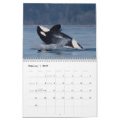 Calendrier Orca 2022 (Feb 2027)