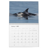Calendrier Orca 2022 (Jan 2027)