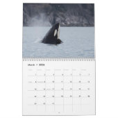 Calendrier Orca 2022 (Mar 2026)