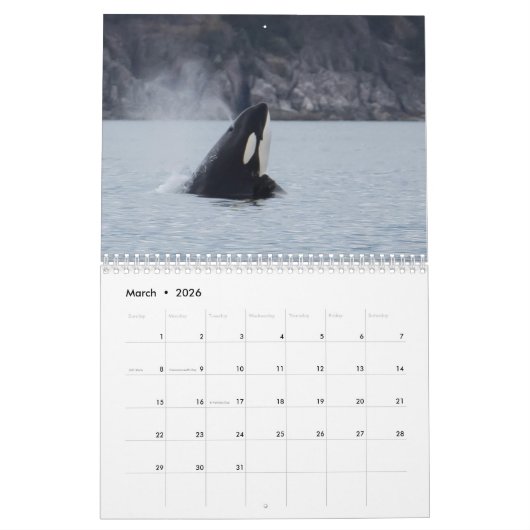 Calendrier Orca 2022 (Mar 2026)