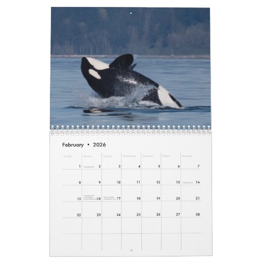 Calendrier Orca 2022 (Feb 2026)