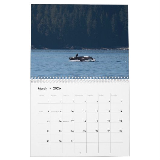 Calendrier Orca 2022 (Mar 2026)