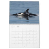 Calendrier Orca 2022 (Jan 2026)