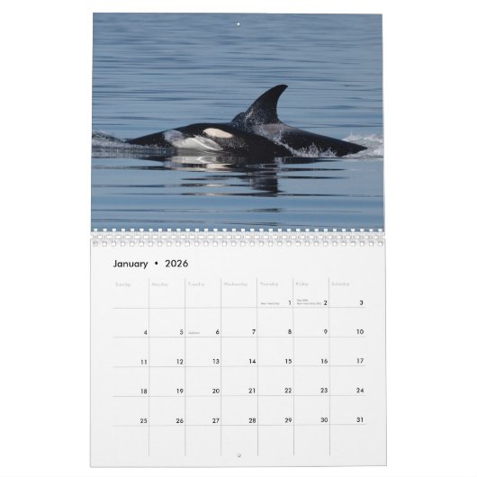 Calendrier Orca 2022 (Jan 2026)