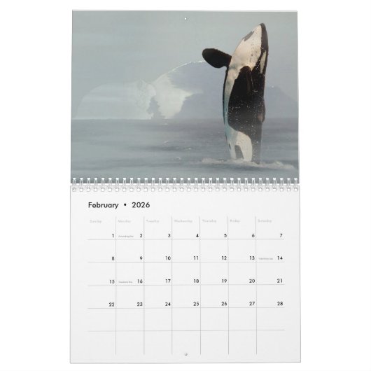 calendrier orca 2023 drôles & jolies orques (Feb 2026)