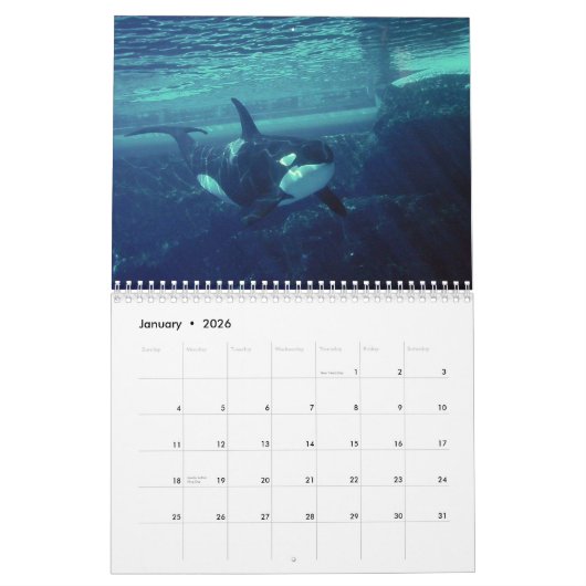 calendrier orca 2023 drôles & jolies orques (Jan 2026)