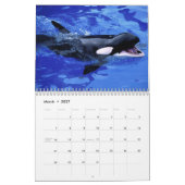 calendrier orca 2023 drôles & jolies orques (Mar 2027)