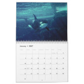 calendrier orca 2023 drôles & jolies orques (Jan 2027)