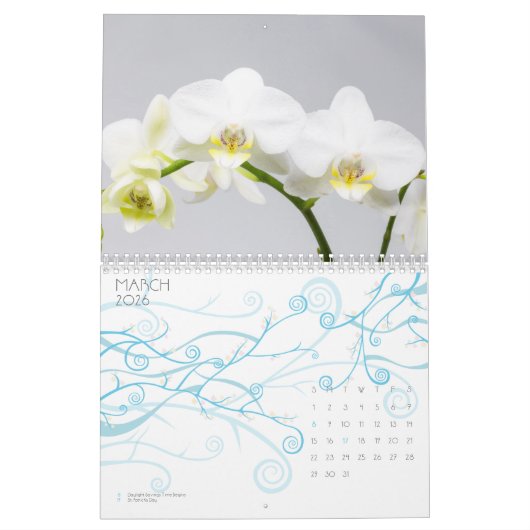 Calendrier Orchidée (Mar 2026)