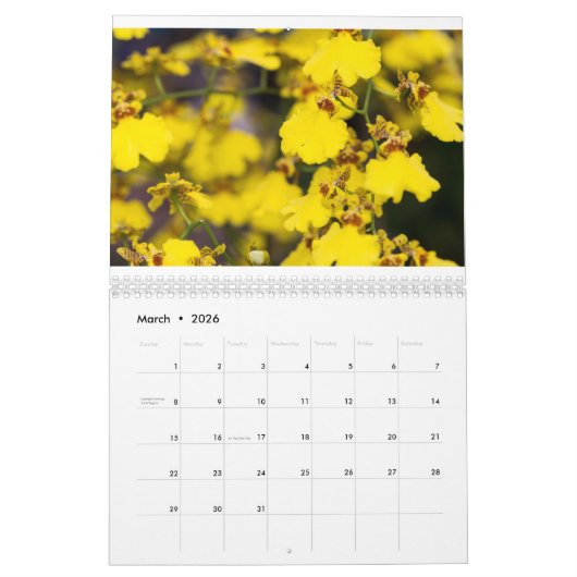 Calendrier Orchidée (Mar 2026)