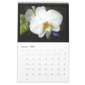 Calendrier Orchidées (Jan 2027)